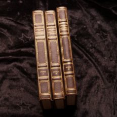 Ingvald Lieberkind, Fugle 1-2-3