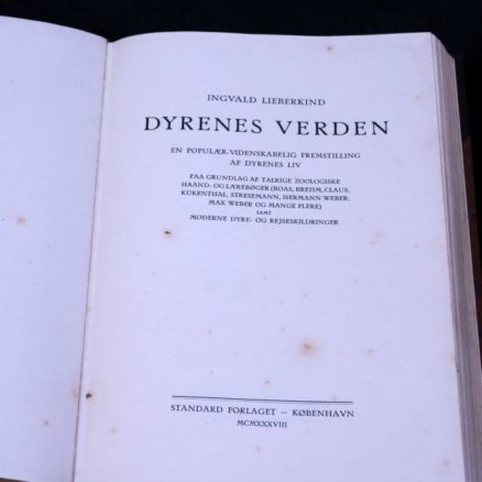 Ingvald Lieberkind, Fugle 1-2-3 - Image 2
