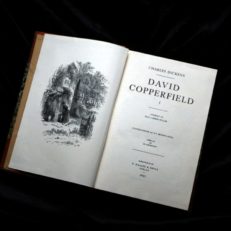 Charles Dickens, David Copperfield I+II