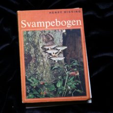 Henry Dissing, Svampebogen