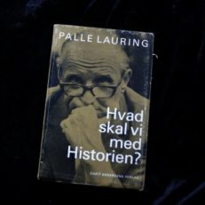 Palle Lauring, Hvad skal vi med historien