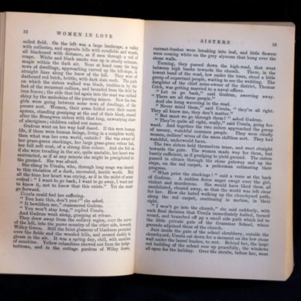 D. H. Lawrence, Women in Love - Image 2