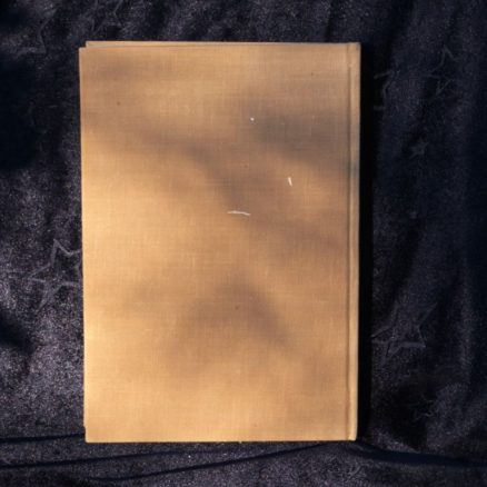 Eugene Rachlis, Prærieindianere - Image 3