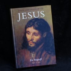 Finn Abrahamowitz, Jesus - En biografi