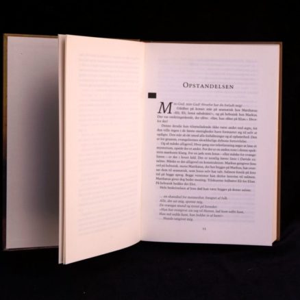 Finn Abrahamowitz, Jesus - En biografi - Image 2