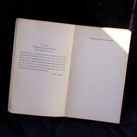 Henry Miller, Stenbukkens vendekreds - Image 2