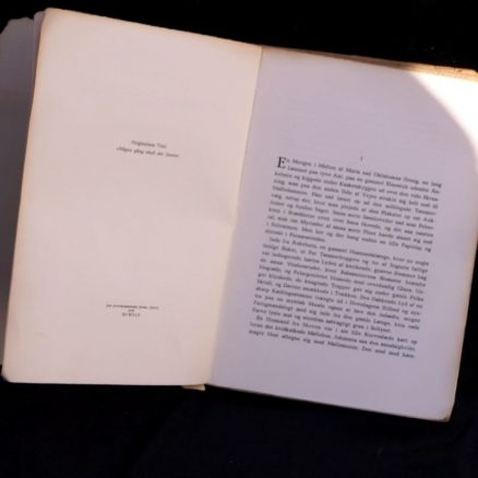 Irja Browallius, Engang skal det lysne - Image 2