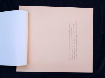 Ikon, Feast of Our Lord and our Lady - Image 2