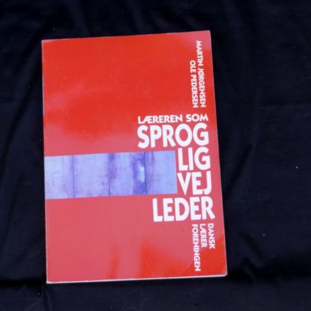 Martin Jørgensen, Læreren som sproglig vejleder