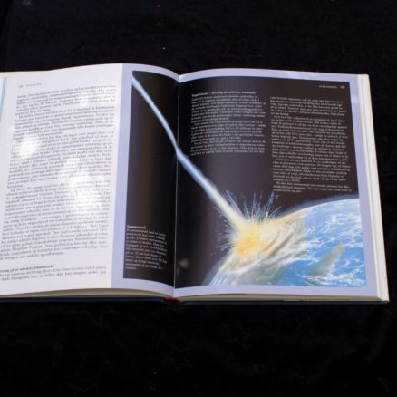 James Lovelock, Jordens overlevelse - Image 2