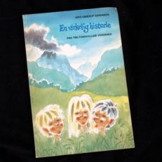 Jens Smærup Sørensen, En virkelig historie fra tre forskellige verdener
