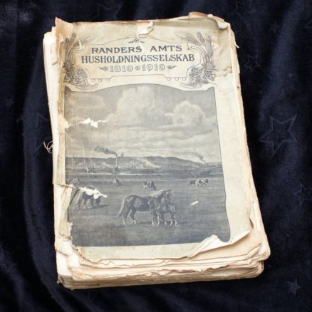 Randers Amt's Husholdningsselskab, Jubilæumsskrift 1810 - 1910