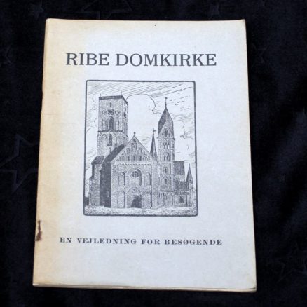 Ribe Domkirke, Vejledning for besøgende