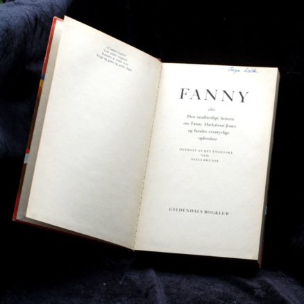 Erica Jong, Fanny