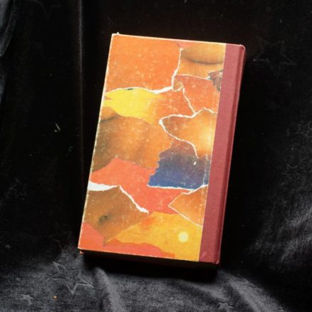 Erica Jong, Fanny - Image 3
