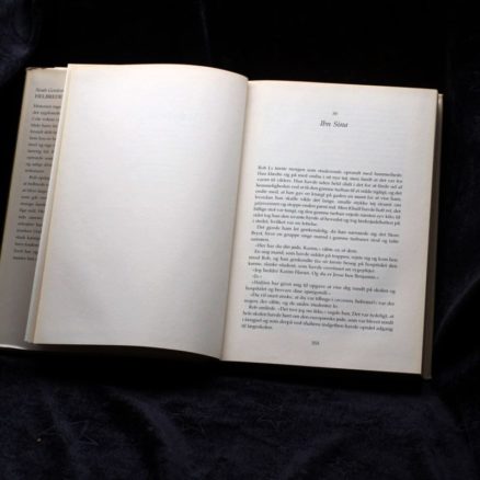 Noah Gordon, Helbrederen - Image 2