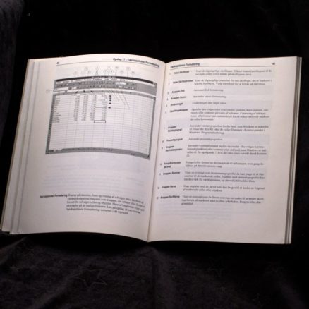 Ron Markey, Microsoft Excel 5.0 - Image 2