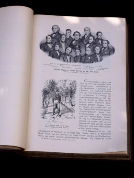 Vilhelm Østergaard, Illustreret dansk Literaturhistorie - Image 2