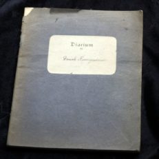 Diarium, Dansk korrespondance 1920