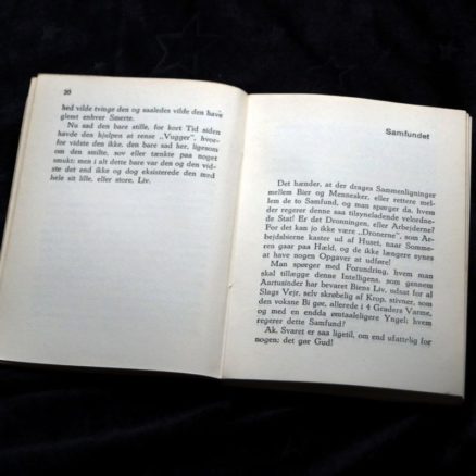 Folmer E. L. Thygesen,  Fra Blomst til Blomst - Image 2