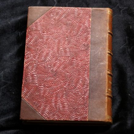 Richard Henry Savage, Inez Romero - Image 4