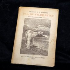Charles G. D. Roberts, Paa de vilde stier