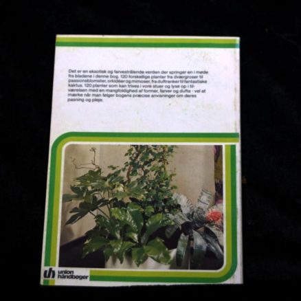 Helmut Bechtel, Dejlige planter i stuen - Image 3