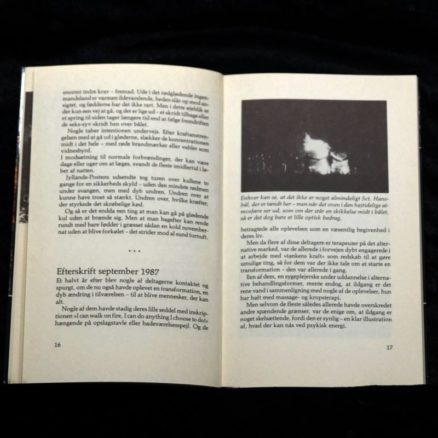 Lise Johnsen, De går på ild - Image 2