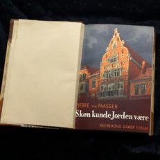 Pierre van Paassen, Skøn kunde jorden være