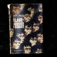 David J. Dallin, Slavearbejde i Sovjet