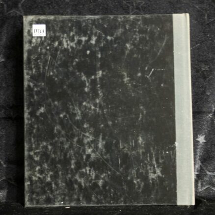 Don Moser, Central American Jungles - Image 3