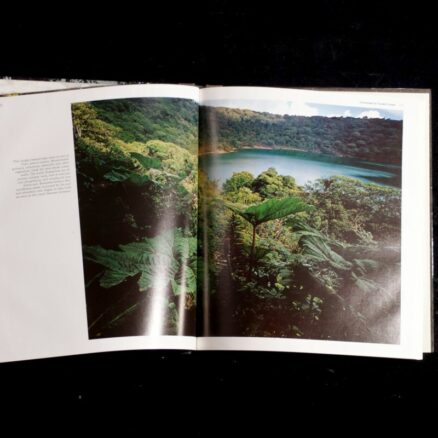 Don Moser, Central American Jungles - Image 2