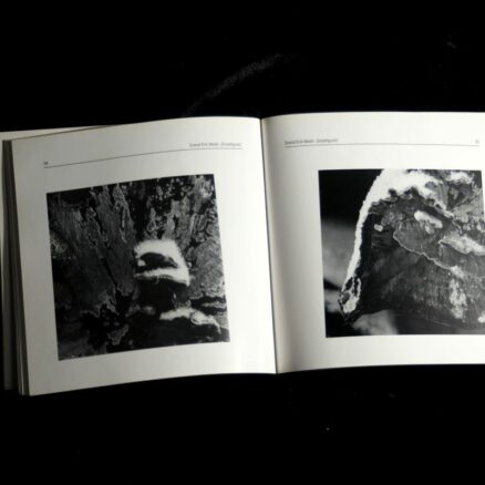 SDF, Dansk fotografi 1997-1998 - Image 2