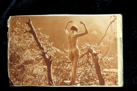 Vintage erotisk foto tryk - 23 stk - Image 22