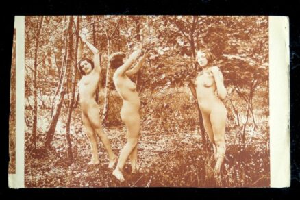 Vintage erotisk foto tryk - 23 stk - Image 17