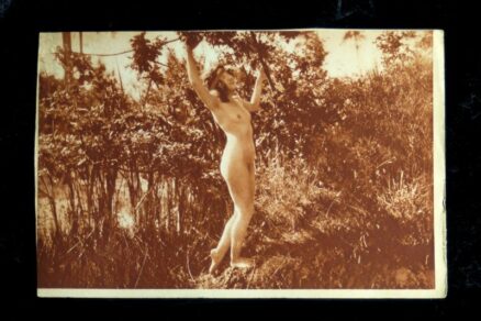 Vintage erotisk foto tryk - 23 stk - Image 14