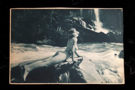 Vintage erotisk foto tryk - 23 stk - Image 11