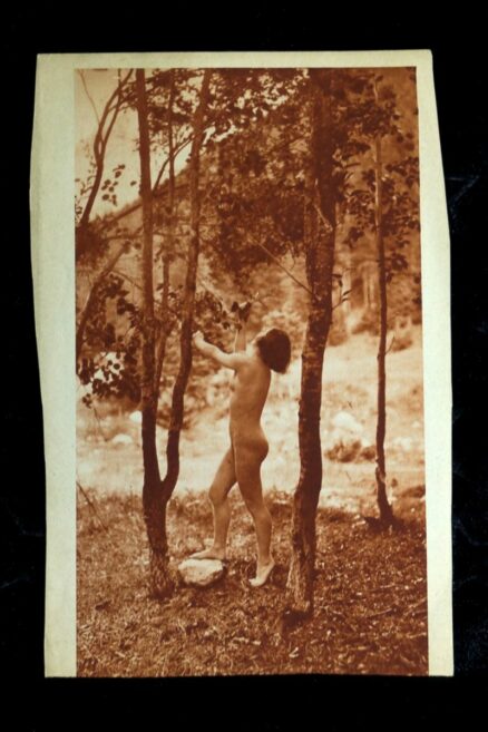 Vintage erotisk foto tryk - 23 stk - Image 10