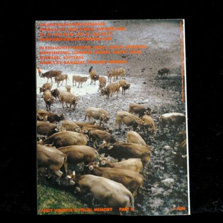 FLASH ART INTERNATIONAL,  Vol. XXXIV - No. 224 - Image 3