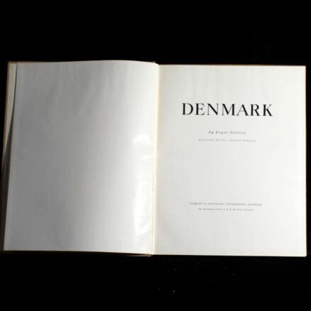 Roger Nielsen, Denmark - Image 2