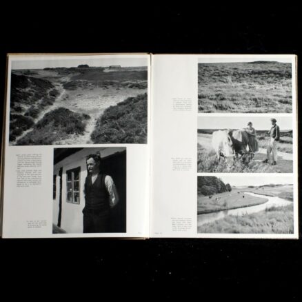 Roger Nielsen, Denmark - Image 3