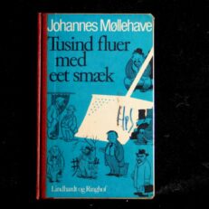 Johannes Møllehave, Tusind fluer med eet smæk