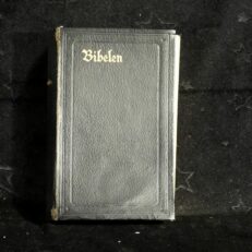 Bibelen 1919