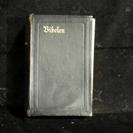 Bibelen 1919