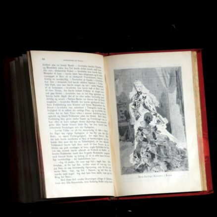 Zacharias Topelius, Feltlægens historier -  bind 5 - Image 2