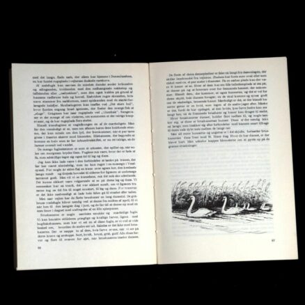 Jens Rolighed, Bogen om Han Herred - Image 2