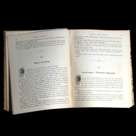 Chr. Bredsdorff, Börnenes Billedbibel 1875 - Image 3