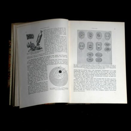 A. Brehm,  Dyrenes liv 1-3 - Image 3