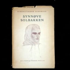 Bjørnstjerne Bjørnson, Synnøve Solbakken