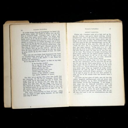 Bjørnstjerne Bjørnson, Synnøve Solbakken - Image 2